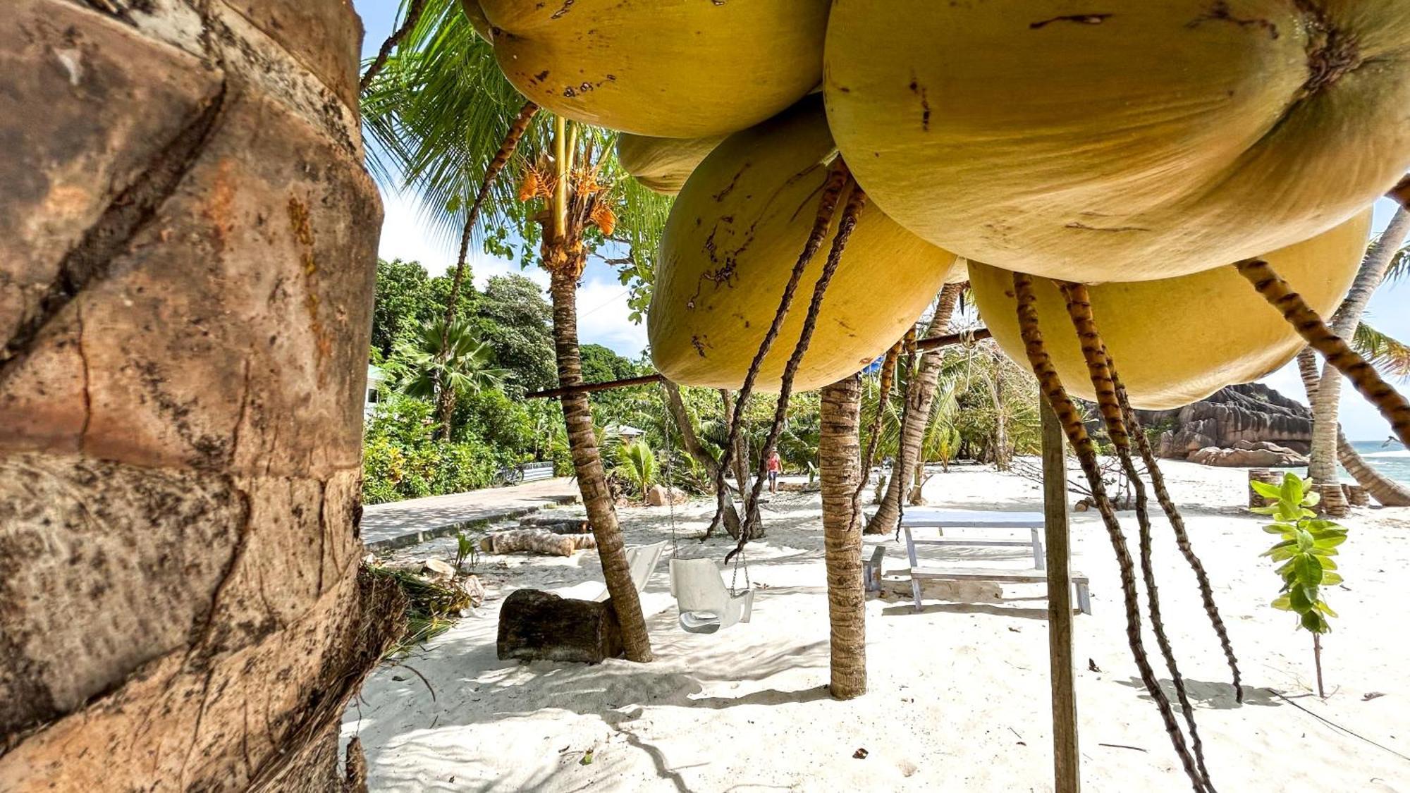 Anse Grosse Roche Beach Villa La Digue Exterior photo