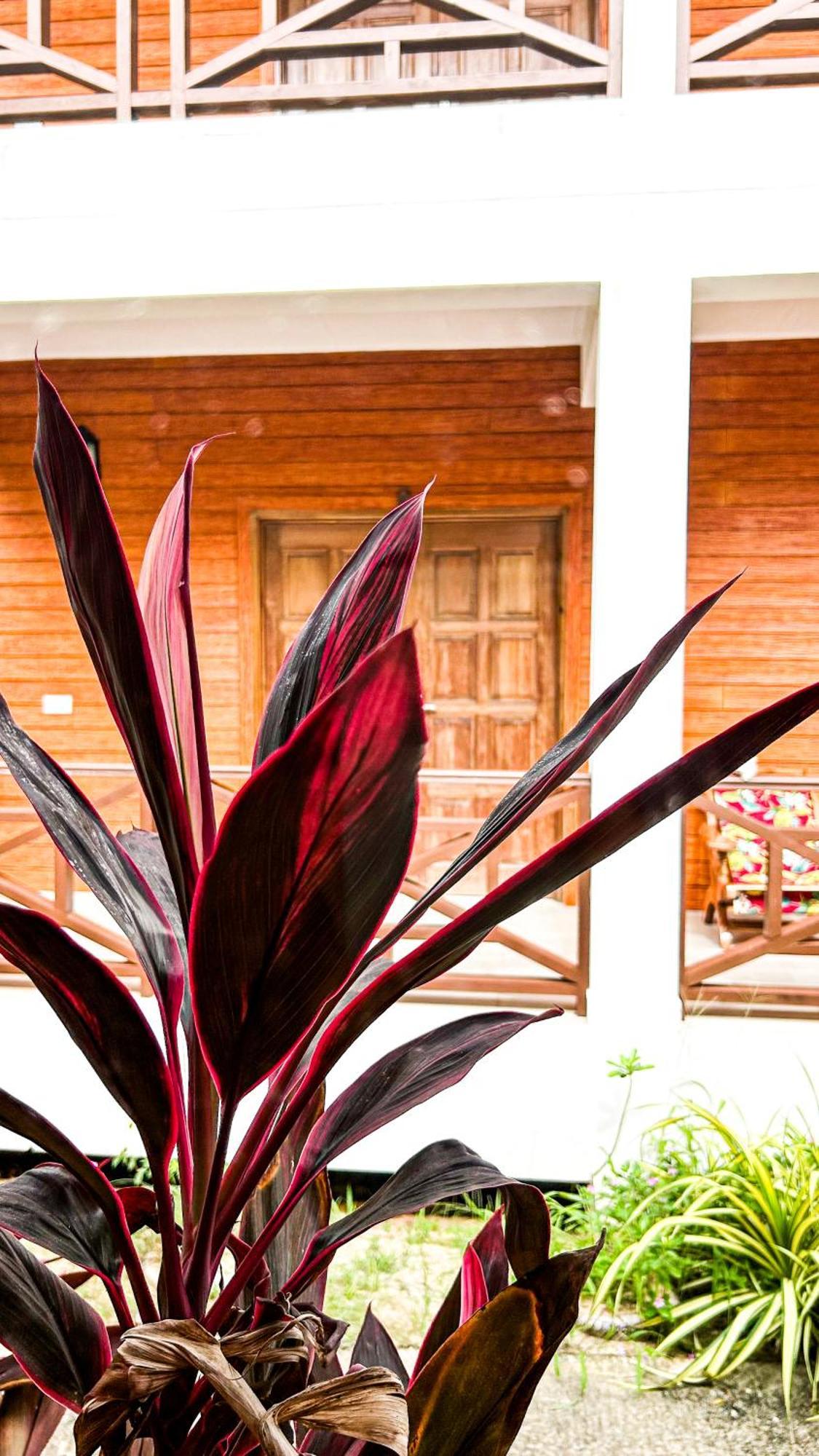 Anse Grosse Roche Beach Villa La Digue Exterior photo